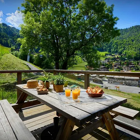 Apartment Le Petit Capricia - Ovo Network La Clusaz